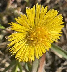 Similar image 22641545