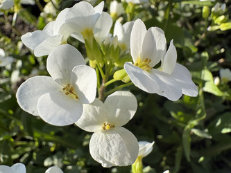 Similar image 22641546