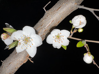 Similar image 22640399