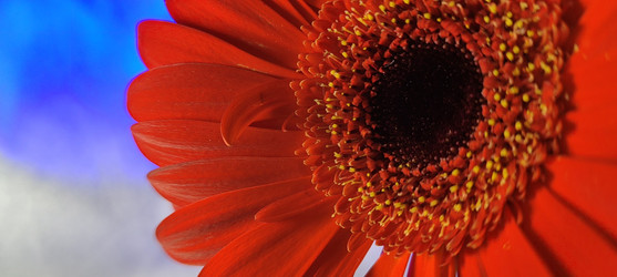 Similar image 22638239