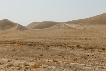 Similar image 22636347