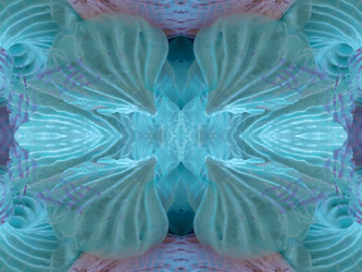 Similar image 22644793