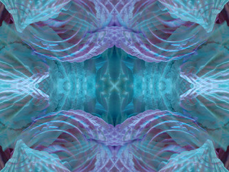 Similar image 22644449