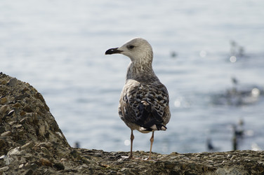 Similar image 22636323