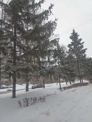 Similar image 22641398