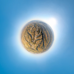 Similar image 22638624