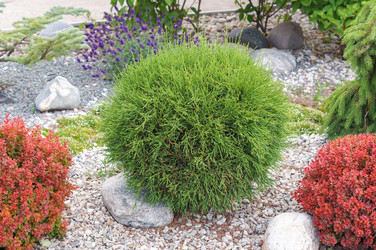 Similar image 22640400