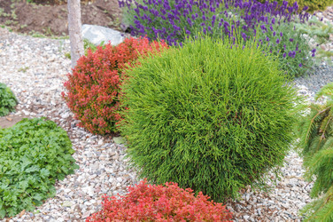 Similar image 22640401