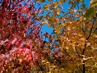 Similar image 22638268