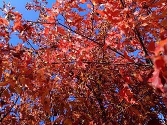 Similar image 22638269