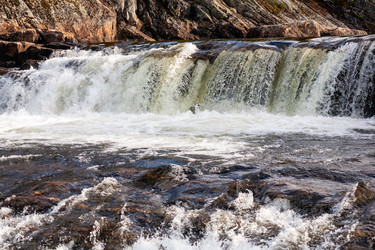 Similar image 22636379