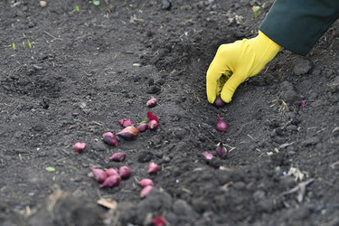 Similar image 22636422