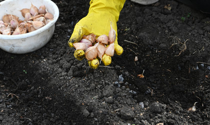 Similar image 22636423