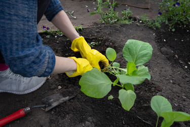 Similar image 22636425