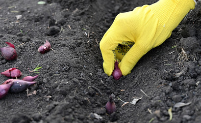 Similar image 22636431