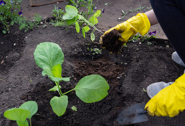 Similar image 22636433