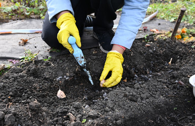 Similar image 22636437