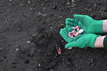 Similar image 22636439