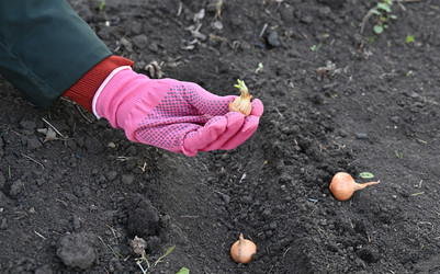 Similar image 22636444