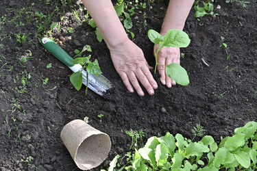 Similar image 22636447