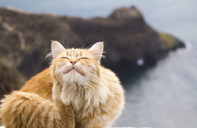 Similar image 22638445