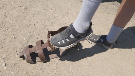 Similar image 22636456