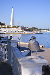 Similar image 22638454