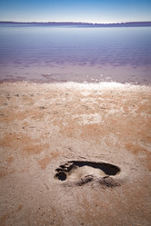 Similar image 22638464