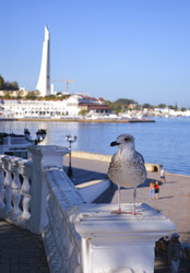 Similar image 22638469