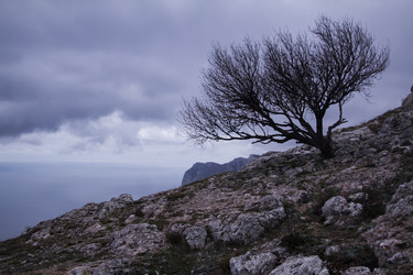 Similar image 22638470