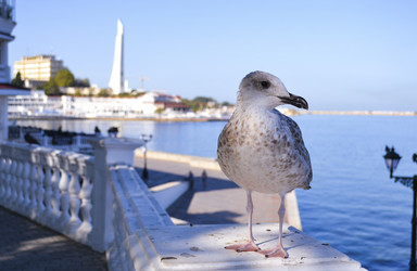 Similar image 22638471