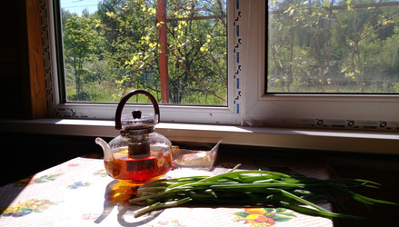 Similar image 22636470