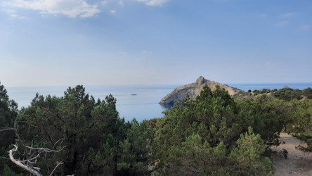 Similar image 22636471