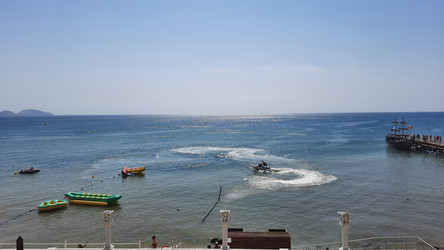 Similar image 22636483