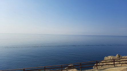 Similar image 22636489