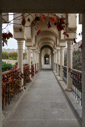 Similar image 22640821