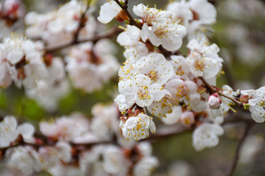 Similar image 22641218