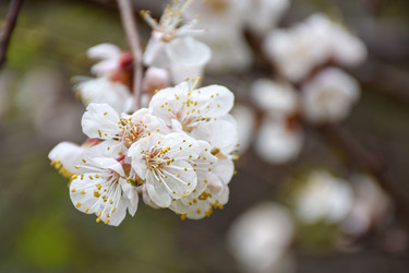 Similar image 22641222