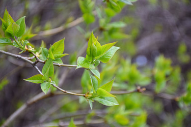 Similar image 22641223