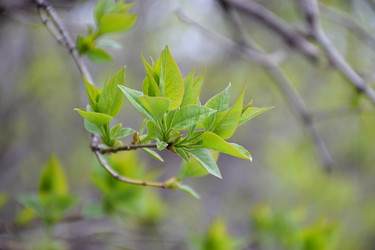 Similar image 22641242