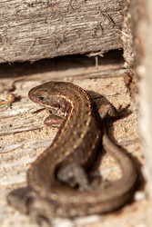 Similar image 22638242