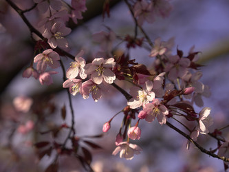 Similar image 22638282