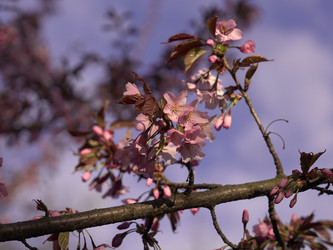 Similar image 22638283