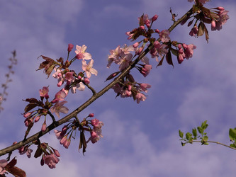 Similar image 22638284