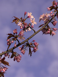 Similar image 22638285