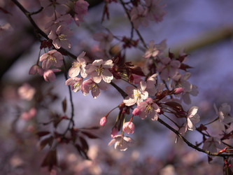 Similar image 22638286