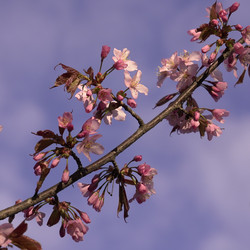 Similar image 22638287