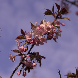 Similar image 22638288