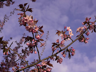 Similar image 22638290