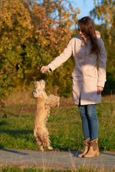 Similar image 22638405